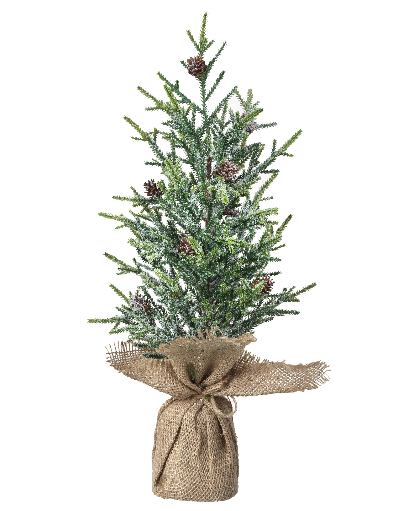 The Canton Christmas Shop 19" Frosted Fir Tree with Pinecones in Burlap Bag