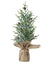 The Canton Christmas Shop 19" Frosted Fir Tree with Pinecones in Burlap Bag