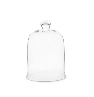 The Canton Christmas Shop Holiday Bell Jar Cloche Glass Small