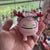 The Canton Christmas Shop Squishmallows ornament collection officially licensed brina