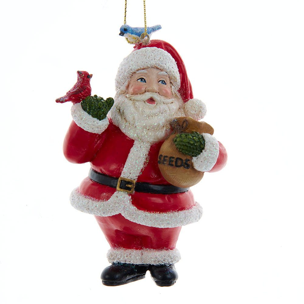 The Canton Christmas Shop Resin Santa with Birds and Glitter Holiday Ornament by Kurt Adler