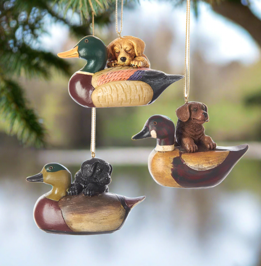 The Canton Christmas Shop Puppy With Duck Decoy Ornaments, Assorted by Kurt Adler