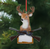The Canton Christmas Shop Deer Hunting Ornament Personalize It by Kurt Adler