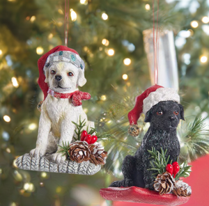 The Canton Christmas Shop Labrador Puppy with Santa hat Ornament Assorted by Kurt Adler